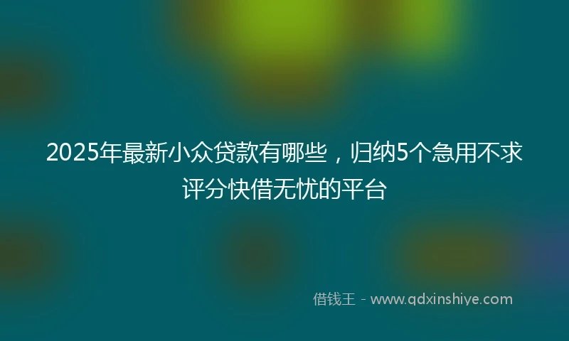 2025年最新小众贷款有哪些，归纳5个急用不求评分快借无忧的平台