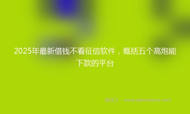2025年最新借钱不看征信软件，概括五个高炮能下款的平台