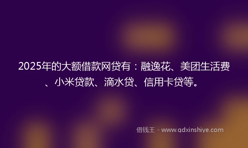 2025年的大额借款网贷有：融逸花、美团生活费、小米贷款、滴水贷、信用卡贷等。