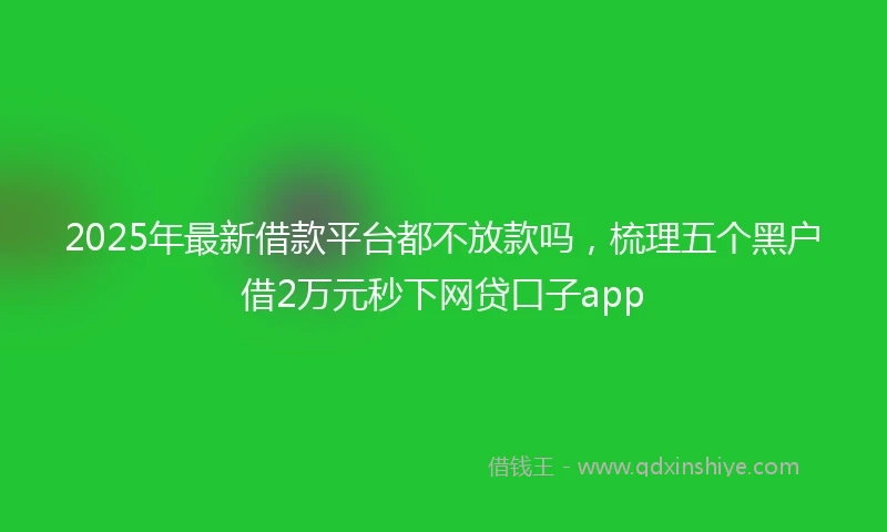 2025年最新借款平台都不放款吗，梳理五个黑户借2万元秒下网贷口子app