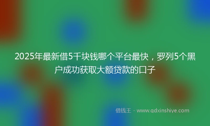 2025年最新借5千块钱哪个平台最快，罗列5个黑户成功获取大额贷款的口子