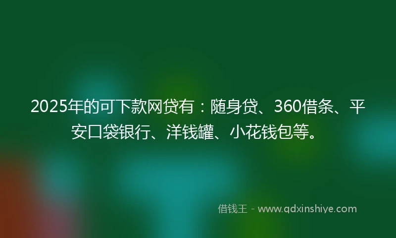 2025年的可下款网贷有：随身贷、360借条、平安口袋银行、洋钱罐、小花钱包等。