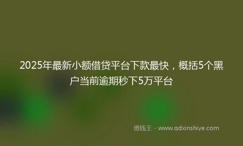 2025年最新小额借贷平台下款最快，概括5个黑户当前逾期秒下5万平台