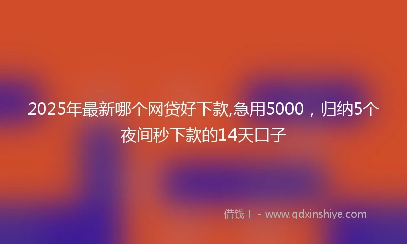 2025年最新哪个网贷好下款,急用5000，归纳5个夜间秒下款的14天口子
