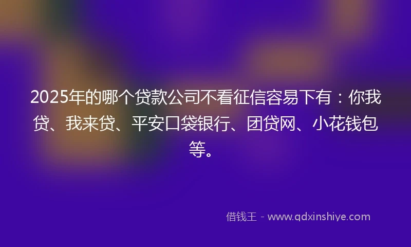 2025年的哪个贷款公司不看征信容易下有：你我贷、我来贷、平安口袋银行、团贷网、小花钱包等。