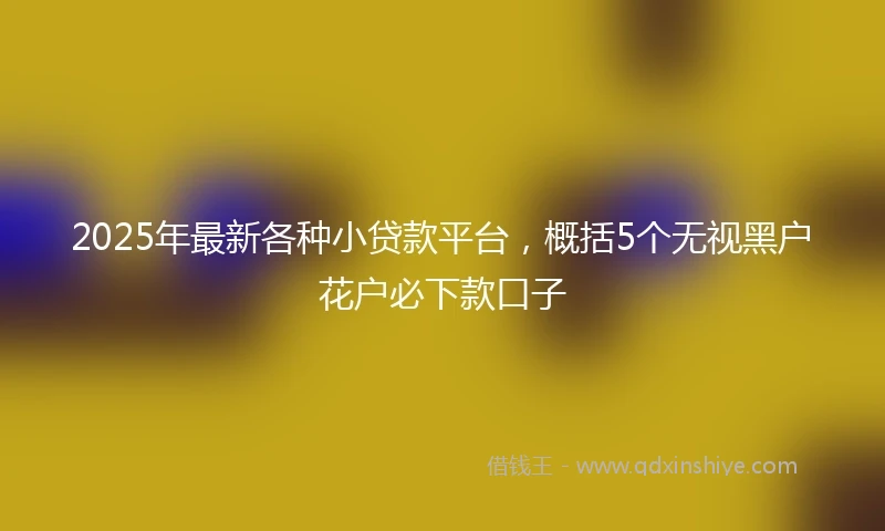 2025年最新各种小贷款平台，概括5个无视黑户花户必下款口子