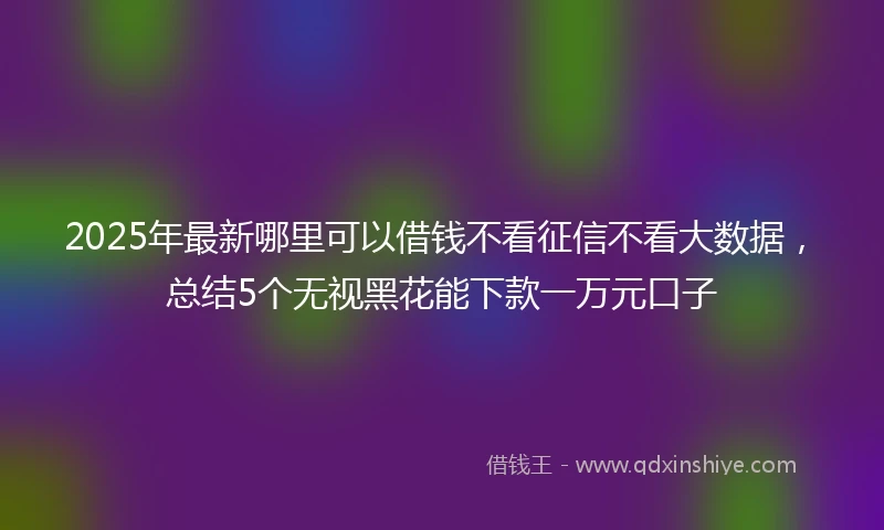 2025年最新哪里可以借钱不看征信不看大数据，总结5个无视黑花能下款一万元口子