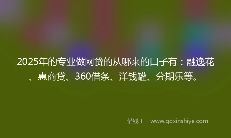 2025年的专业做网贷的从哪来的口子有：融逸花、惠商贷、360借条、洋钱罐、分期乐等。
