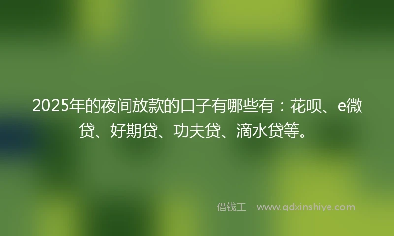 2025年的夜间放款的口子有哪些有：花呗、e微贷、好期贷、功夫贷、滴水贷等。