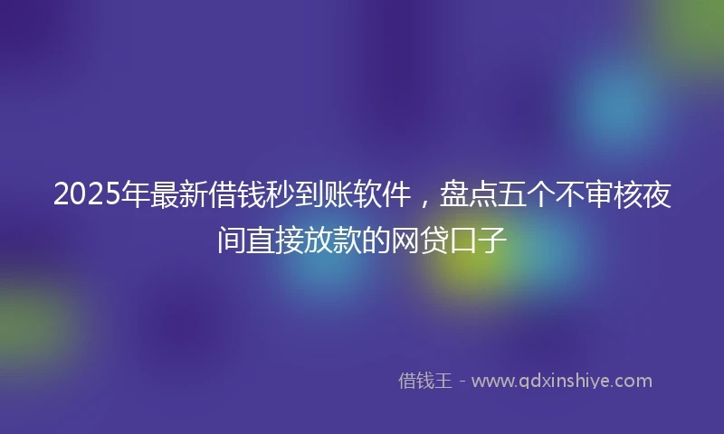 2025年最新借钱秒到账软件，盘点五个不审核夜间直接放款的网贷口子