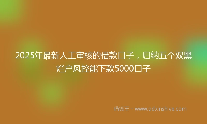 2025年最新人工审核的借款口子，归纳五个双黑烂户风控能下款5000口子