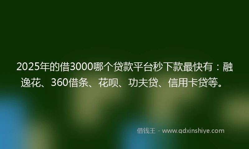 2025年的借3000哪个贷款平台秒下款最快有：融逸花、360借条、花呗、功夫贷、信用卡贷等。