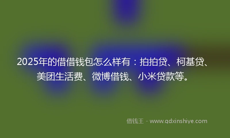 2025年的借借钱包怎么样有：拍拍贷、柯基贷、美团生活费、微博借钱、小米贷款等。