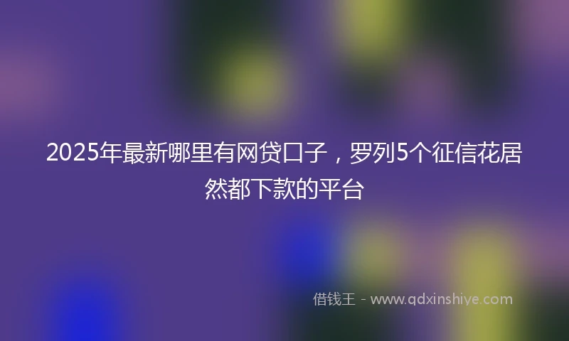 2025年最新哪里有网贷口子，罗列5个征信花居然都下款的平台