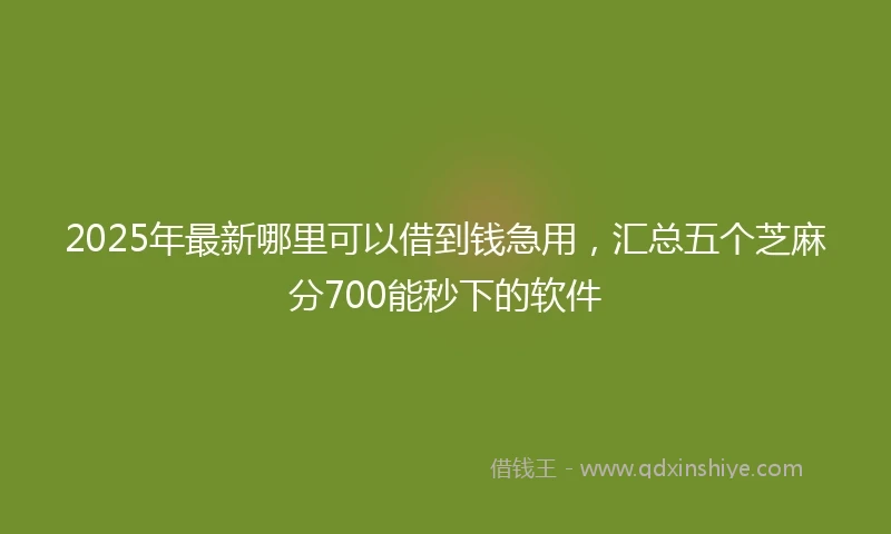 2025年最新哪里可以借到钱急用，汇总五个芝麻分700能秒下的软件