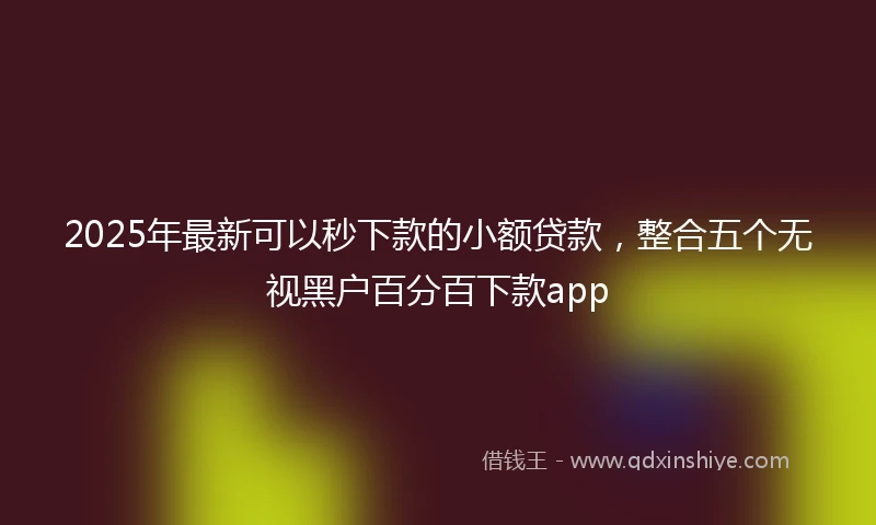 2025年最新可以秒下款的小额贷款，整合五个无视黑户百分百下款app