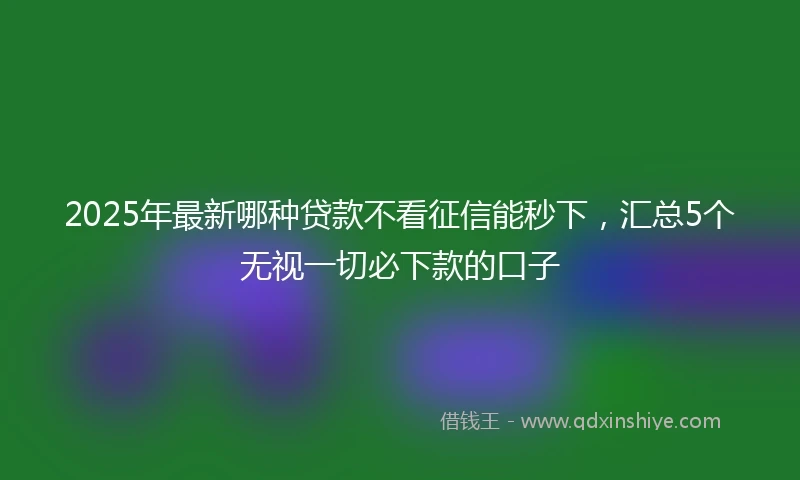 2025年最新哪种贷款不看征信能秒下，汇总5个无视一切必下款的口子