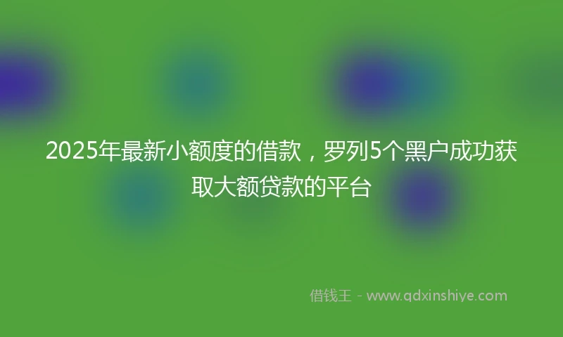 2025年最新小额度的借款，罗列5个黑户成功获取大额贷款的平台