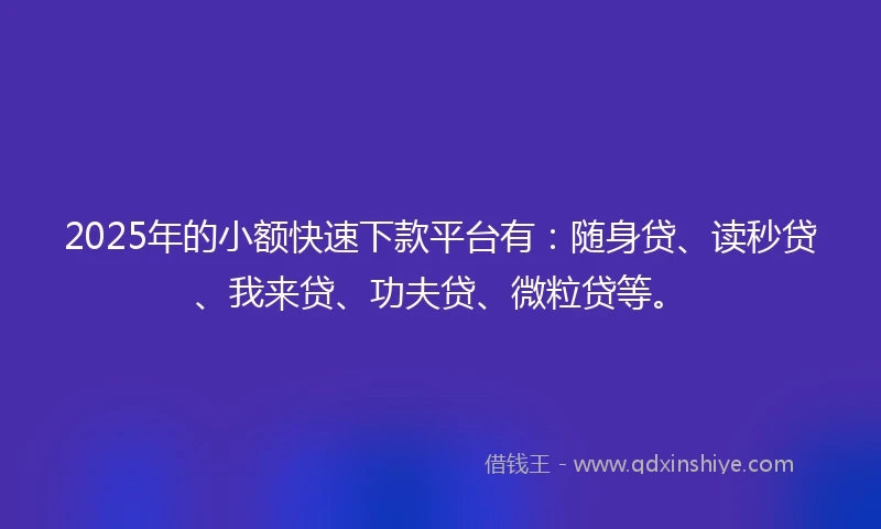 2025年的小额快速下款平台有：随身贷、读秒贷、我来贷、功夫贷、微粒贷等。