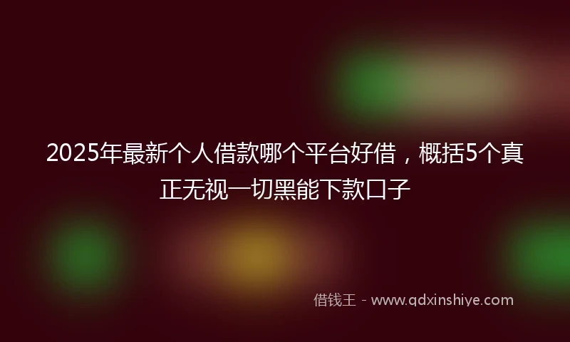 2025年最新个人借款哪个平台好借，概括5个真正无视一切黑能下款口子