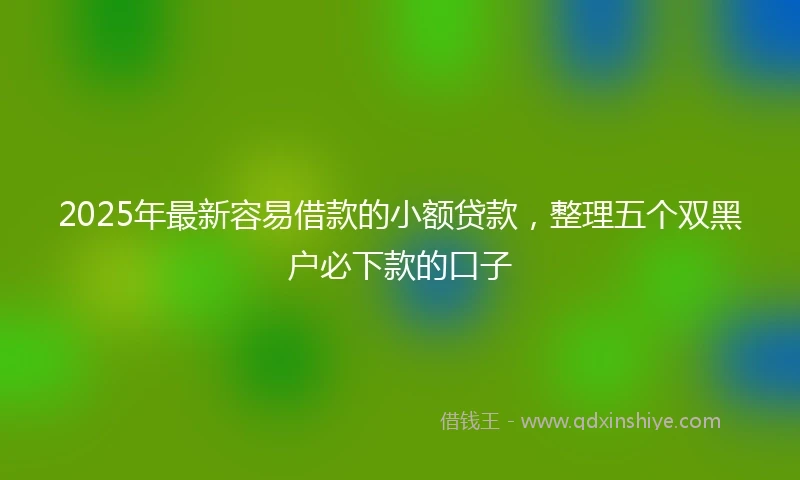 2025年最新容易借款的小额贷款，整理五个双黑户必下款的口子