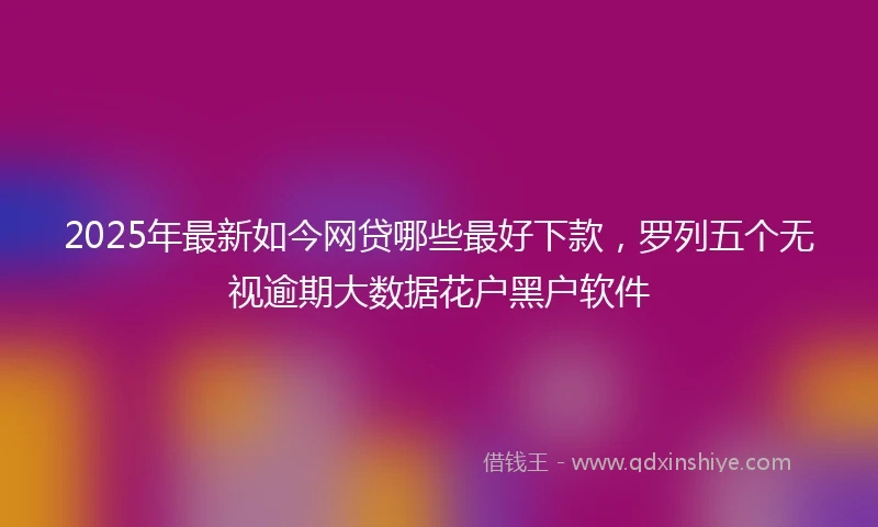 2025年最新如今网贷哪些最好下款，罗列五个无视逾期大数据花户黑户软件
