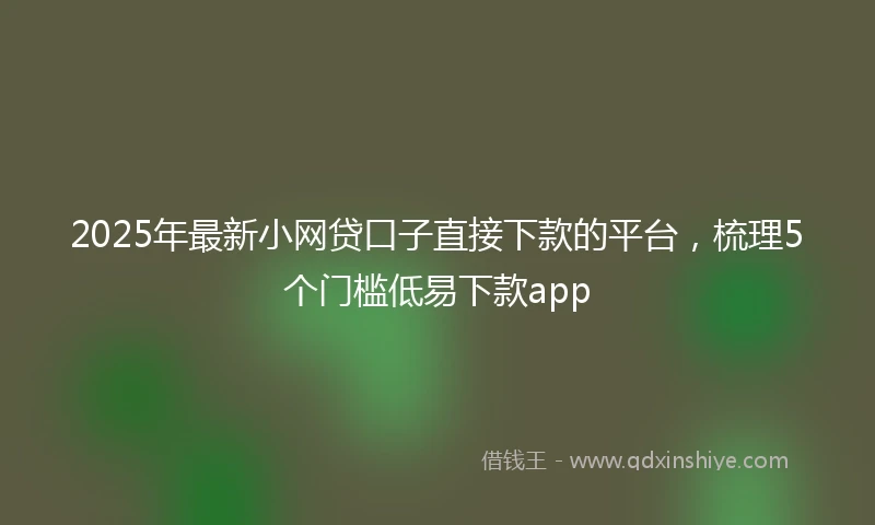 2025年最新小网贷口子直接下款的平台，梳理5个门槛低易下款app