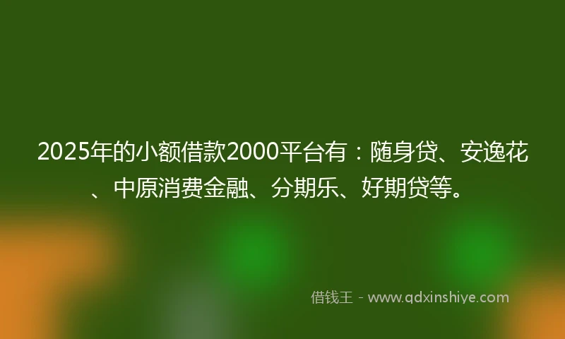 2025年的小额借款2000平台有：随身贷、安逸花、中原消费金融、分期乐、好期贷等。