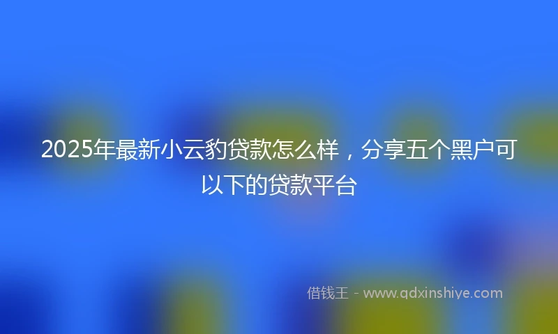 2025年最新小云豹贷款怎么样，分享五个黑户可以下的贷款平台
