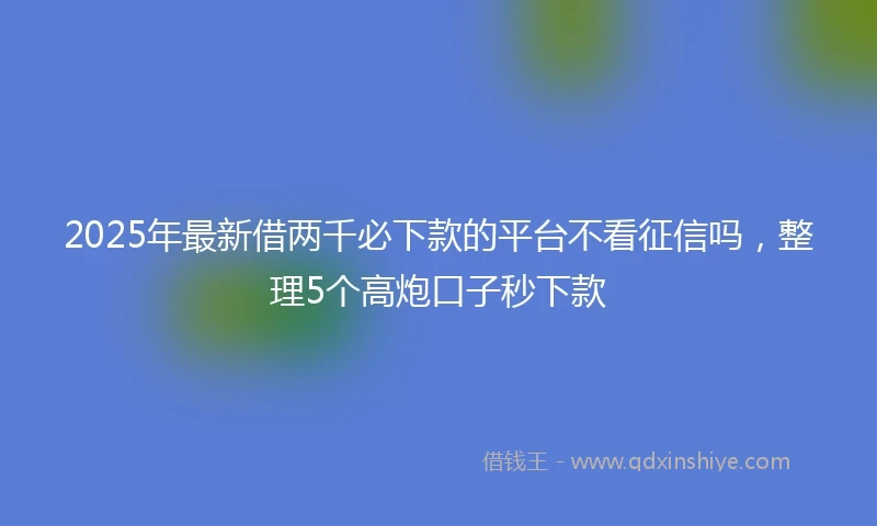 2025年最新借两千必下款的平台不看征信吗，整理5个高炮口子秒下款