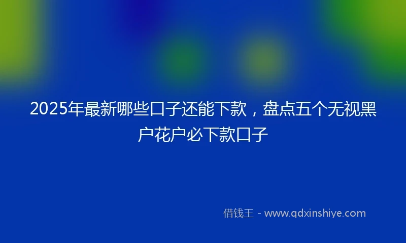 2025年最新哪些口子还能下款，盘点五个无视黑户花户必下款口子