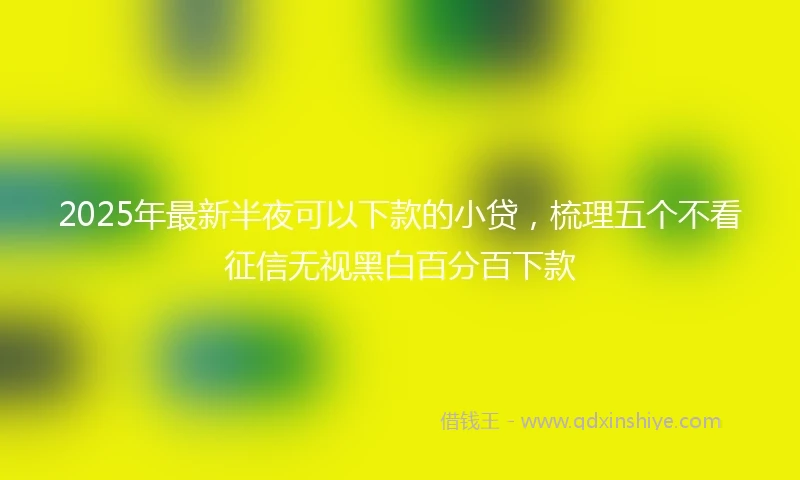 2025年最新半夜可以下款的小贷，梳理五个不看征信无视黑白百分百下款