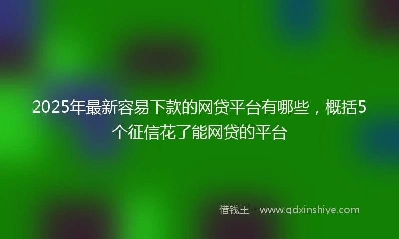 2025年最新容易下款的网贷平台有哪些，概括5个征信花了能网贷的平台
