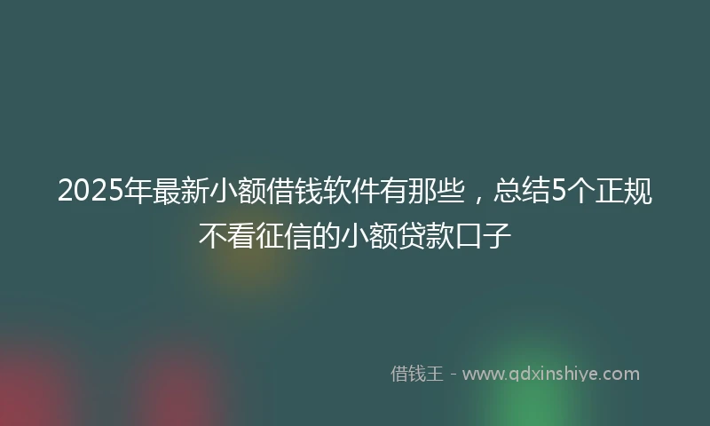 2025年最新小额借钱软件有那些，总结5个正规不看征信的小额贷款口子