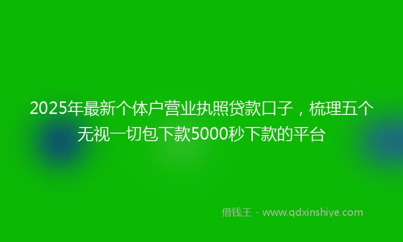 2025年最新个体户营业执照贷款口子，梳理五个无视一切包下款5000秒下款的平台