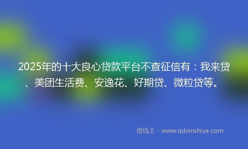 2025年的十大良心贷款平台不查征信有：我来贷、美团生活费、安逸花、好期贷、微粒贷等。