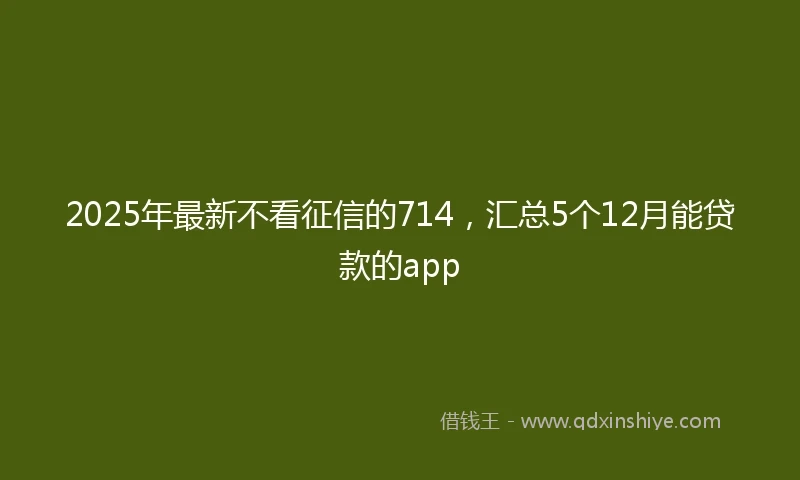 2025年最新不看征信的714，汇总5个12月能贷款的app