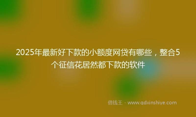 2025年最新好下款的小额度网贷有哪些，整合5个征信花居然都下款的软件