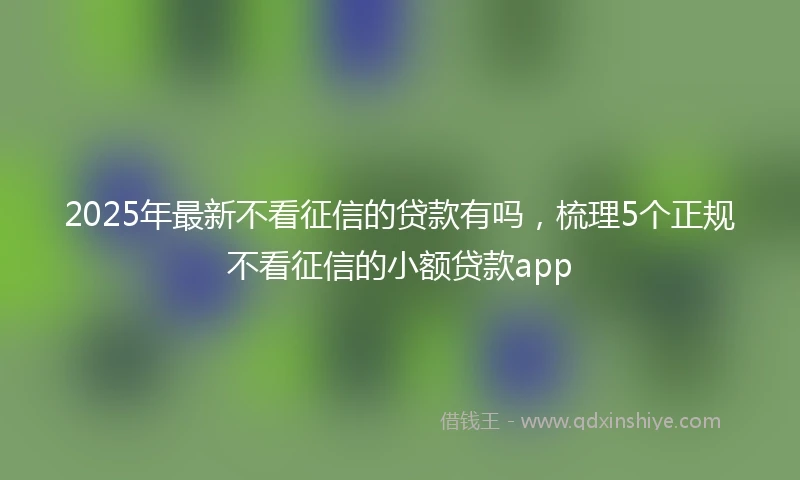 2025年最新不看征信的贷款有吗，梳理5个正规不看征信的小额贷款app