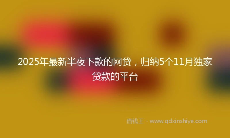 2025年最新半夜下款的网贷，归纳5个11月独家贷款的平台