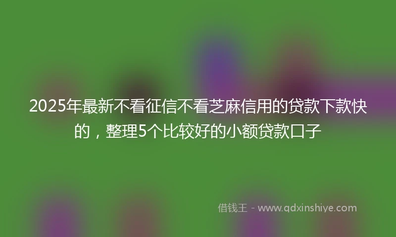 2025年最新不看征信不看芝麻信用的贷款下款快的，整理5个比较好的小额贷款口子