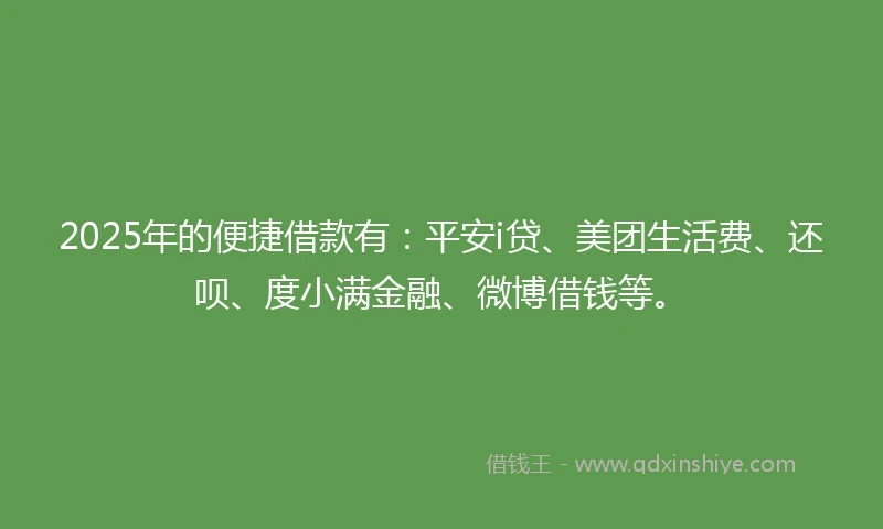 2025年的便捷借款有：平安i贷、美团生活费、还呗、度小满金融、微博借钱等。