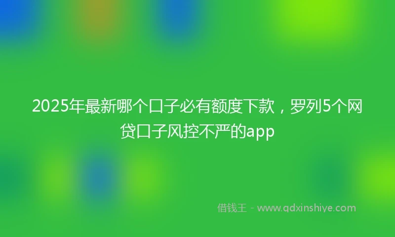 2025年最新哪个口子必有额度下款，罗列5个网贷口子风控不严的app