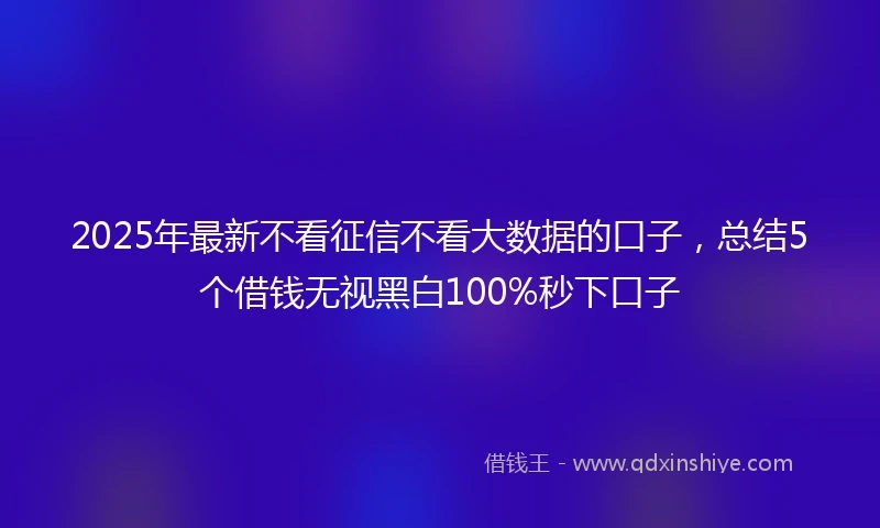2025年最新不看征信不看大数据的口子，总结5个借钱无视黑白100%秒下口子