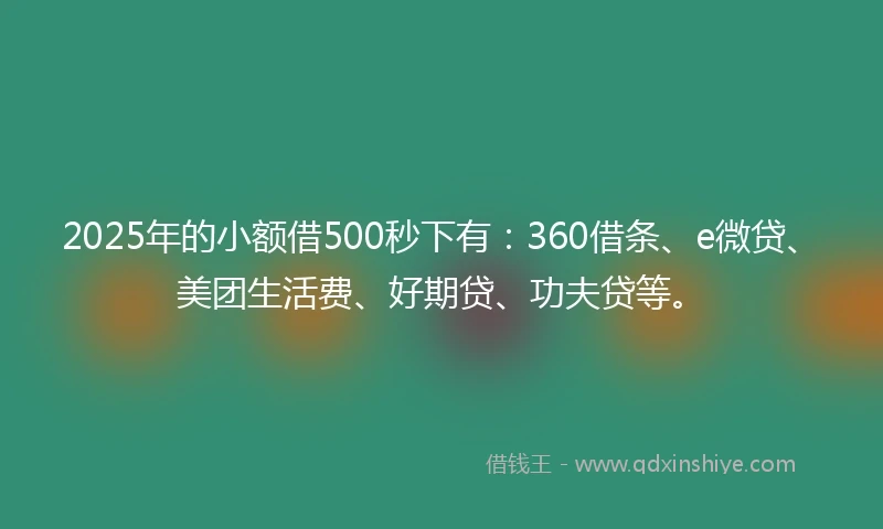 2025年的小额借500秒下有：360借条、e微贷、美团生活费、好期贷、功夫贷等。
