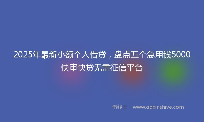 2025年最新小额个人借贷，盘点五个急用钱5000快审快贷无需征信平台
