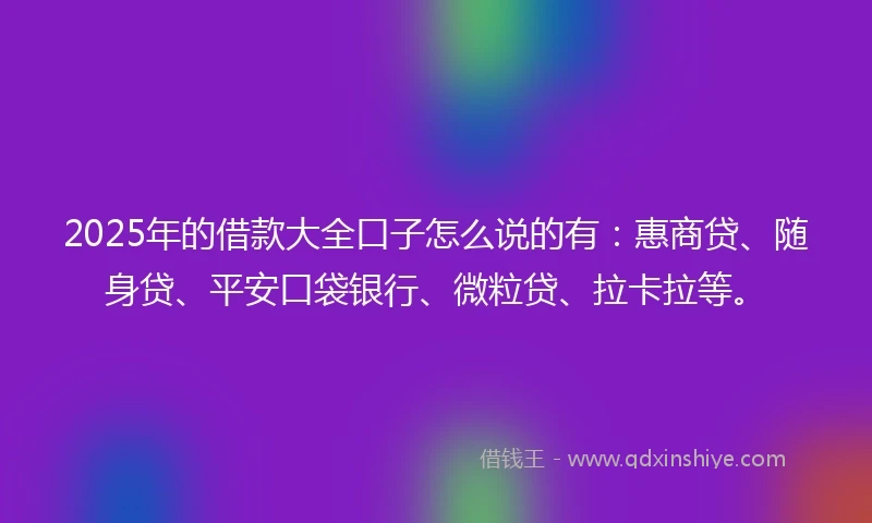 2025年的借款大全口子怎么说的有：惠商贷、随身贷、平安口袋银行、微粒贷、拉卡拉等。