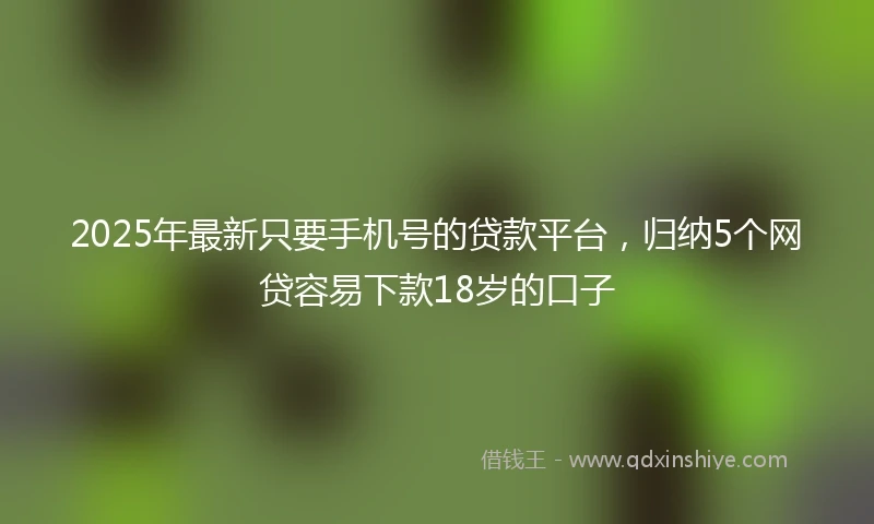 2025年最新只要手机号的贷款平台，归纳5个网贷容易下款18岁的口子