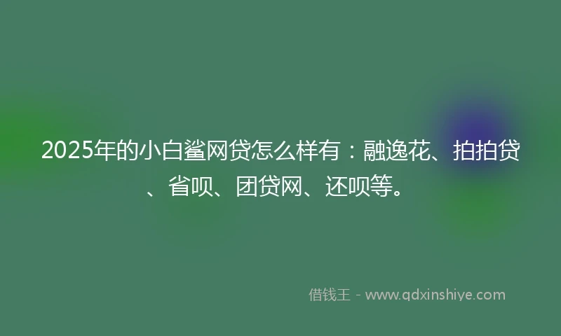 2025年的小白鲨网贷怎么样有：融逸花、拍拍贷、省呗、团贷网、还呗等。