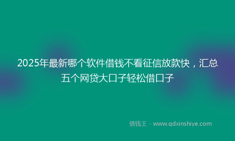 2025年最新哪个软件借钱不看征信放款快，汇总五个网贷大口子轻松借口子
